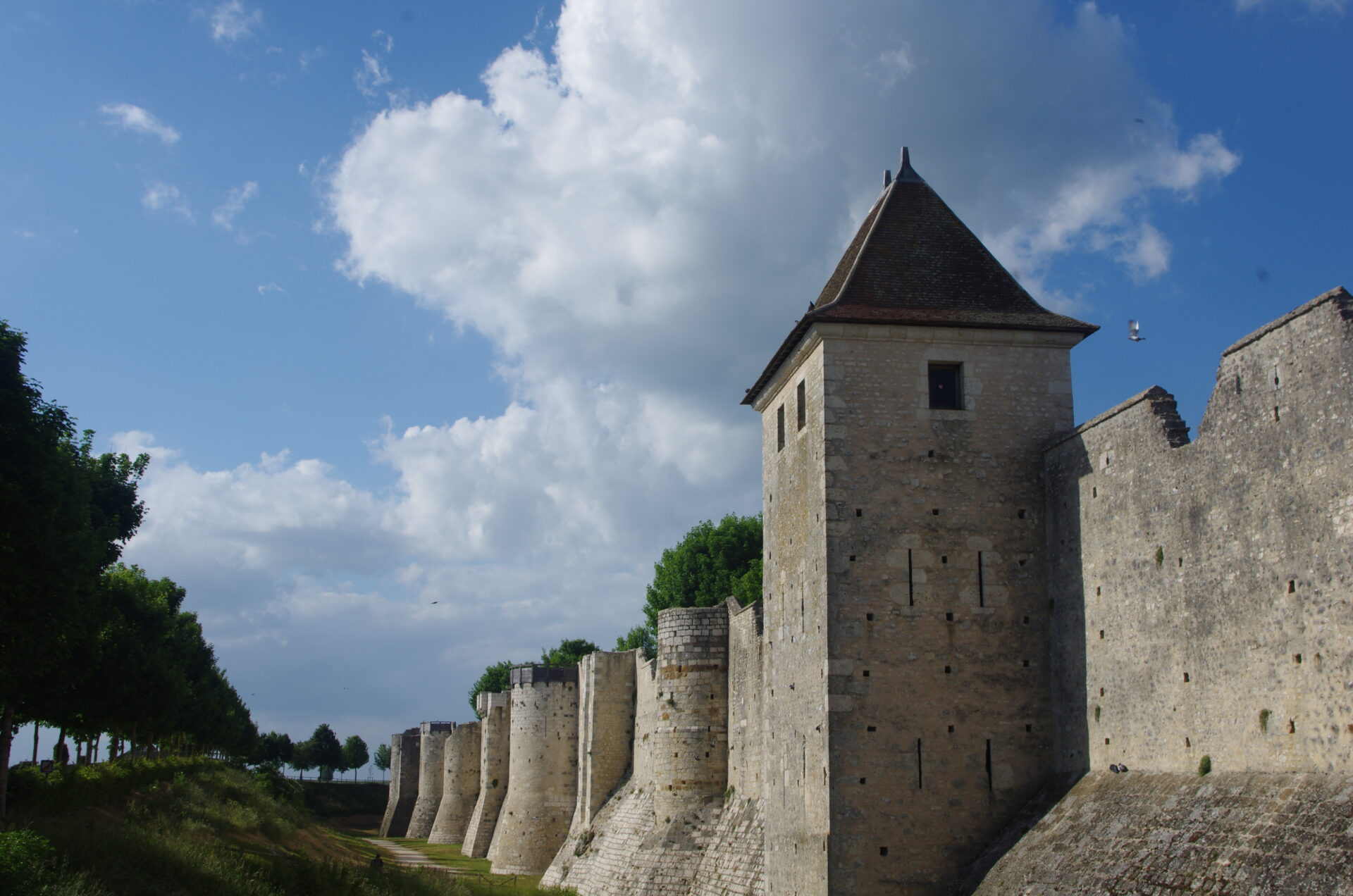 Mille-Pattes de Brenouille